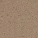 Earth Homogeneous Vinyl Safety Flooring Roll