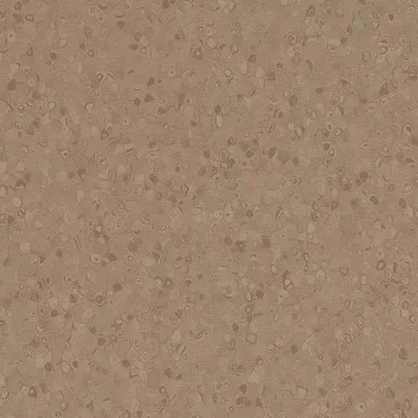 Earth Homogeneous Vinyl Safety Flooring Roll