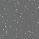Altro Suprema Festuca Scratch Resistance Low-gloss Safety Flooring Roll