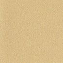 Altro Pisces Fisherman Class B Slip Resistant Safety Flooring Roll