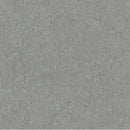  Flooring Roll – Comet, Low Slip, 15 Yr Life