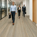 FloresistPro Marmoleum Sheet – Bleached Gold, 2.5mm Eco Floor