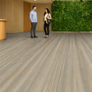 FloresistPro Marmoleum Sheet – Bleached Gold, 2.5mm Eco Floor