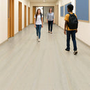 FloresistPro Marmoleum Sheet – Ivory Shades, 2.5mm Eco Floor

