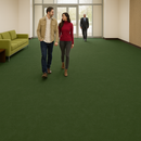 FloresistPro Marmoleum Solid Safety Flooring - Anti-Static Roll, Bottle Green, 2.5mm thick