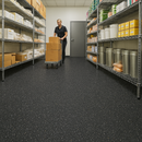 FloresistPro Safestep Sheet – Charcoal, R12 Slip-Proof,Floor Covering Roll,2mm thickness