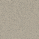 FloresistPro Safety Vinyl – R12 Slip-Resistant, Fossil , Floor Covering Roll