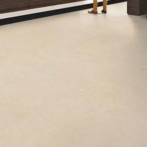 Forbo Marmoleum Solid White Chocolate Anti Static Safety Flooring Roll