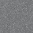 Altro Classic Graphite R11 Slip & Abrasion Resistant Vinyl Safety Flooring Roll