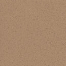 Altro Aquarius Iguana Slip Resistant Wet Room Vinyl Safety Flooring Roll
