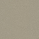 Wood Effect Vinyl Sheet – Polyflor Expona Flow Moleskin