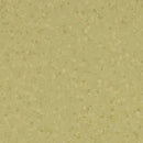 Moss Homogeneous Vinyl Safety Flooring Roll