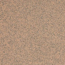 Altro Classic Mushroom R11 Slip & Abrasion Resistant Vinyl Safety Flooring Roll