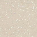 SD Sand Homogeneous Conductive Vinyl Sheet Floor Covering Roll