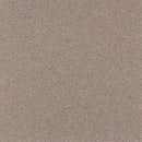 Vinyl Safety Flooring – Slip Resistant, PUR Finish, Siltstone
