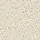 iQ Eminent Dusty Sand Abrasion Resistant Safety Flooring Roll