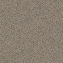 Polysafe Safety Vinyl Sheet Flooring – Taupe, Slip Resistant