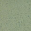 Altro Aquarius Treefrog Slip Resistant Wet Room Vinyl Safety Flooring Roll