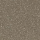 Altro Classic Truffle R11 Slip & Abrasion Resistant Vinyl Safety Flooring Roll