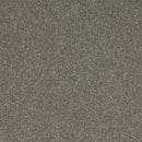 Altro Xpresslay Tundra Adhesive-free Slip Resistant Safety Flooring Roll