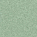 Altro Pisces Windbreak Class B Slip Resistant Safety Flooring Roll