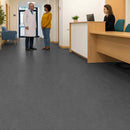 Zyrphan Floctave Flooring Roll, Club, Low-Slip, 2.85 mm, 15 dB