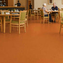 Zyrphan Floctave Flooring Roll – Salsa, LRV 20, Low‑Slip, 2.85 mm