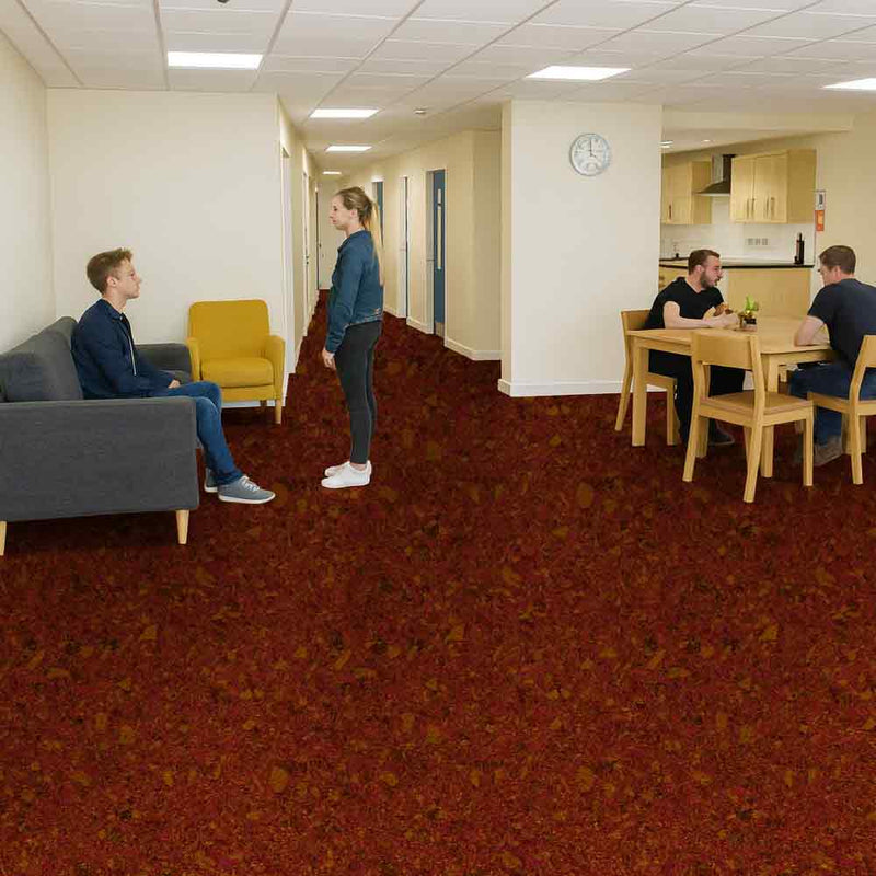 Zyrphan Floctave Flooring Roll – Orfeo,  Low Slip, 15 dB Sound Insulation