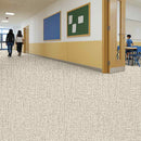 Zyrphan Floctave Flooring Roll – Macavity,  Low Slip, 15dB Sound