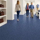 Zyrphan Florvantis Flooring Roll – Milan, Low Slip, 15-Year Lifespan