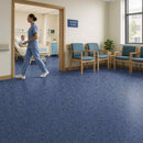Zyrphan Florvantis Flooring Roll – Milan, Low Slip, 15-Year Lifespan