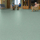 Zyrphan Florvantis Flooring Roll – Willow Tree, Low Slip, 15-Year Wear