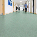 Zyrphan Florvantis Flooring Roll – Willow Tree, Low Slip, 15-Year Wear