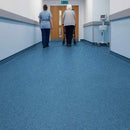 Zyrphan Gripfirmo Safety Flooring Roll – Blue, 2mm, 15yr Lifespan