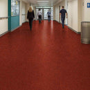 Zyrphan Gripfirmo Safety Flooring Roll – Tango, Slip-Resistant, 2mm