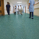 Zyrphan Gripfirmo Safety Flooring Roll – Tarragon, 2mm, Durable Grip