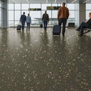 Zyrphan Gripfirmo Savannah – 2mm Safety Flooring Roll, Slip-Resistant, 15-Year