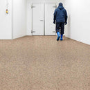 Zyrphan Stronexia Safety Flooring Roll – Biscuit, Anti-Slip 3mm