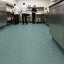 Zyrphan Stronexia Safety Flooring Roll – 3mm Skyline 