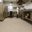 Zyrphan Stronexia Safety Vinyl Flooring Roll – 3mm, Oyster, 25-Year Life