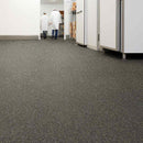 Zyrphan Stronexia Safety Vinyl Roll –Tundra, 3mm R12 Grip, 25-Year Life