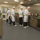 Zyrphan Stronexia Safety Vinyl Roll –Tundra, 3mm R12 Grip, 25-Year Life