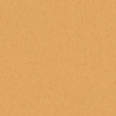 IQ Natural Yellow Bio-Attributed Vinyl Safety Flooring Roll