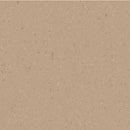 IQ Natural Warm Beige Bio-Attributed Vinyl Safety Flooring Roll