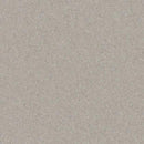 Eclipse Premium Clay Grey Antistatic Homogeneous Poly(Vinyl Chloride) Floor Covering