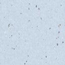 Eclipse Premium Pastel Sky Blue Homogeneous Poly(Vinyl Chloride) Floor Covering
