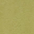 Forbo Eternal Original Aspargus Heterogeneous Sheet Vinyl Floor Covering Roll