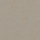 Forbo Marmoleum Solid Beton Anti Static Safety Flooring Roll