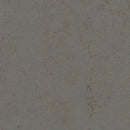 Forbo Marmoleum Solid Comet Anti Static Safety Flooring Roll