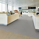 Forbo Safestep R11 Concrete Slip Proof Vinyl Sheet Safety Flooring Roll